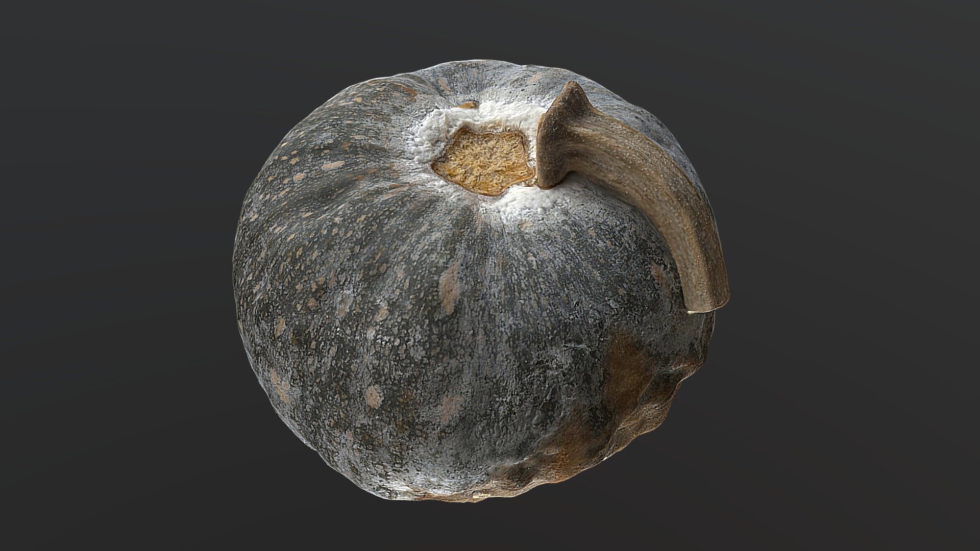 Pumpkin Rot