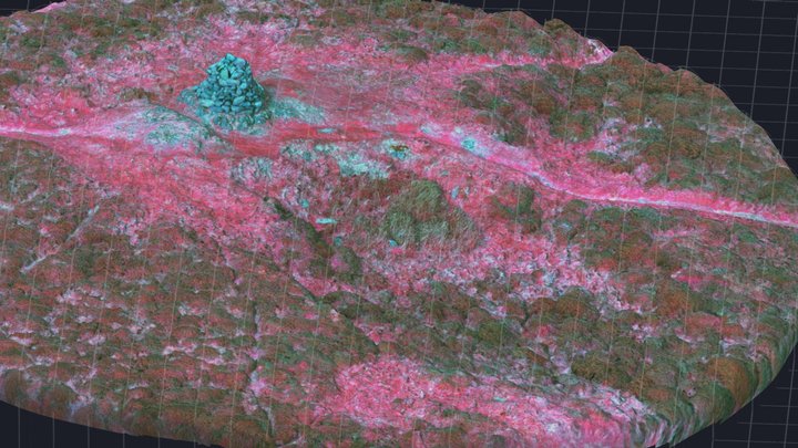 Pen-y-Gaer Hillfort Summit, False Colour NRG 3D Model