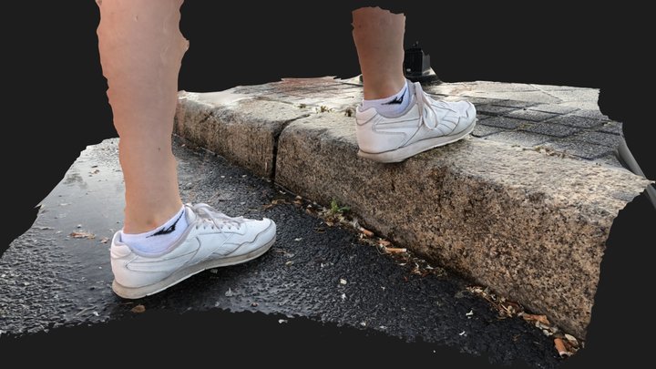 Shoes on the wet street 3D Model
