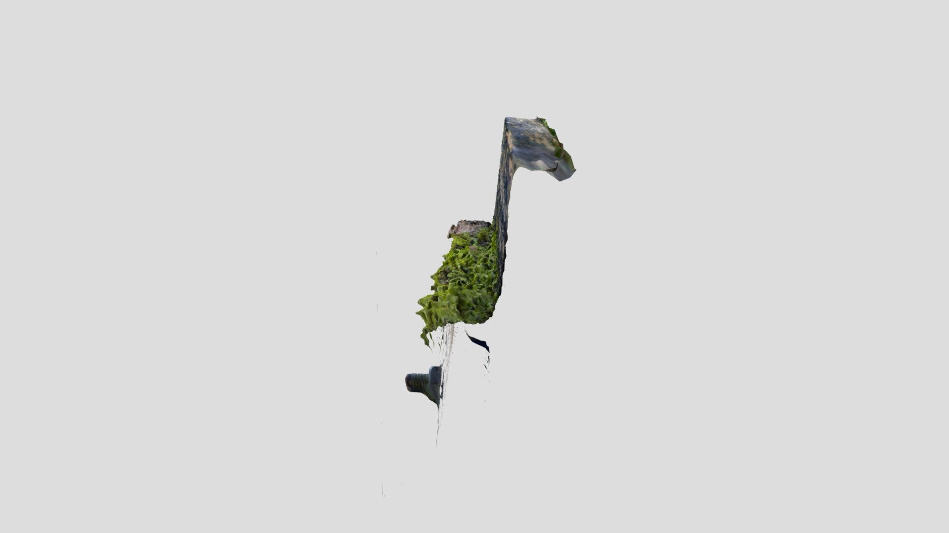 Moss on fence CU