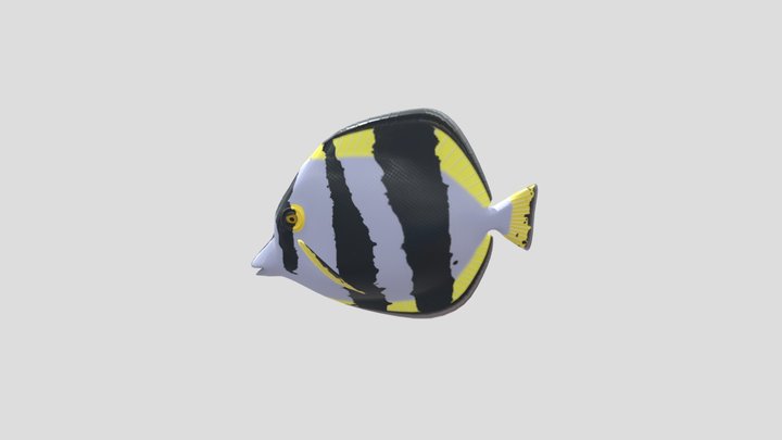 It a fish 3D Model