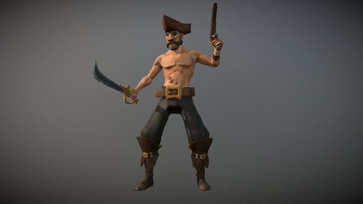 Pirate 3D 3D Model