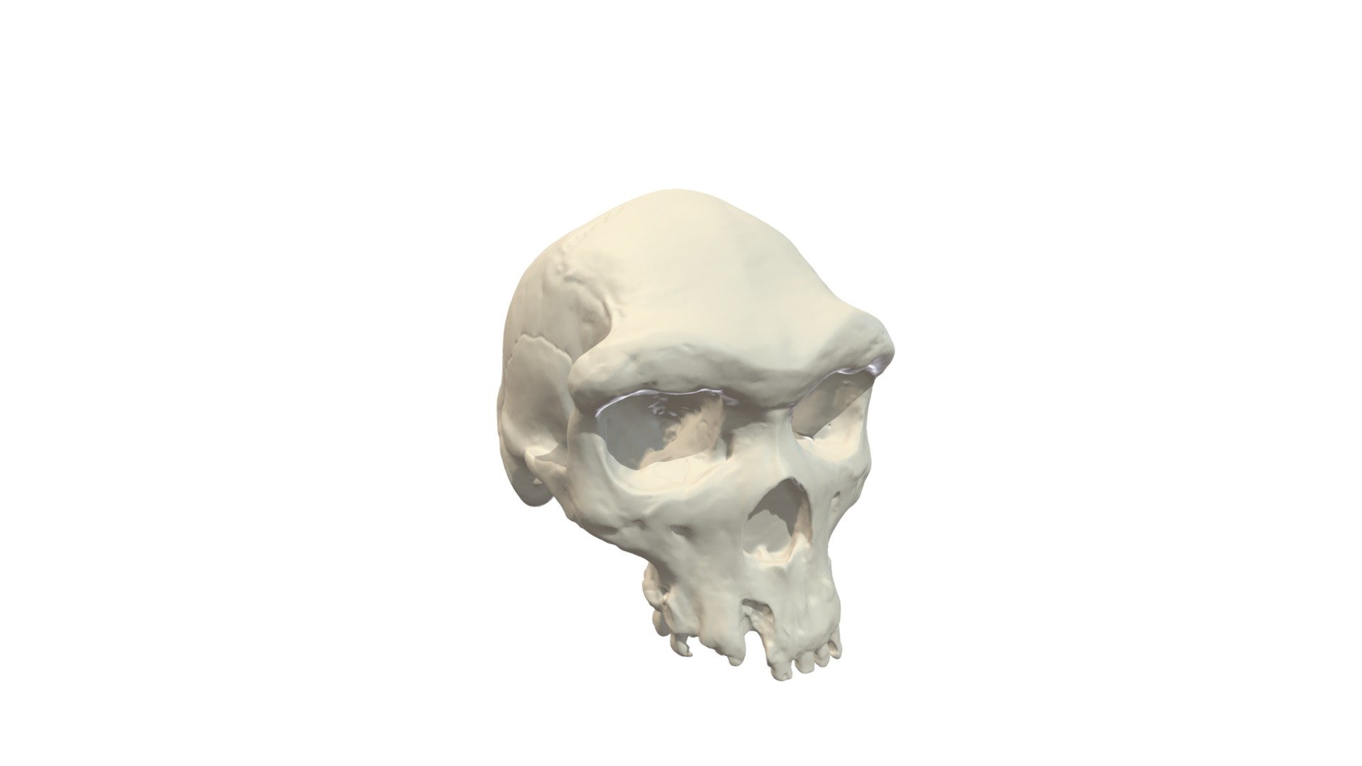 Specimen C2