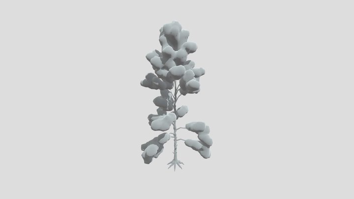 Snow Pine Toon Tree