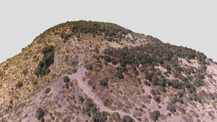 Pucara Cerro la Muralla 2019 3D Model
