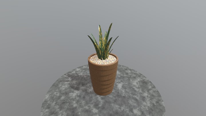 Garden Plant 3D Model