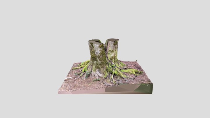 Faery Tree - Base 3D Model