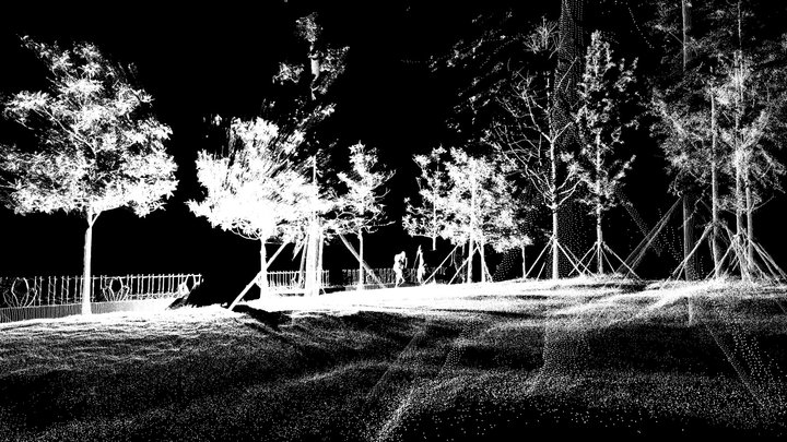 tree point cloud2 3D Model