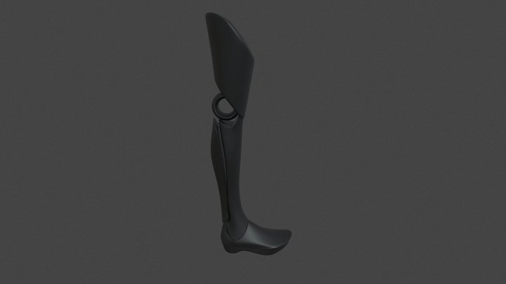 2DAE2E - High Poly Prosthetic Leg 3D Model
