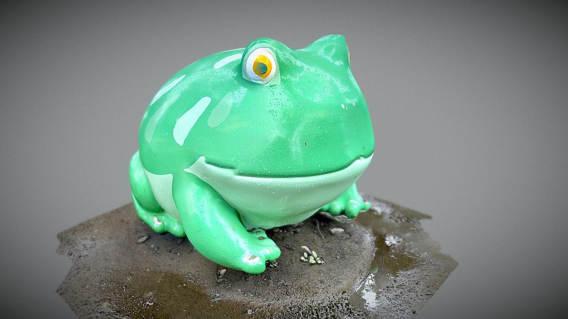 FROG:ツノガエル