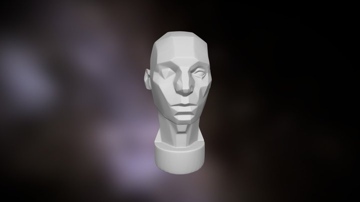 planes of the head Asaro 3D Model