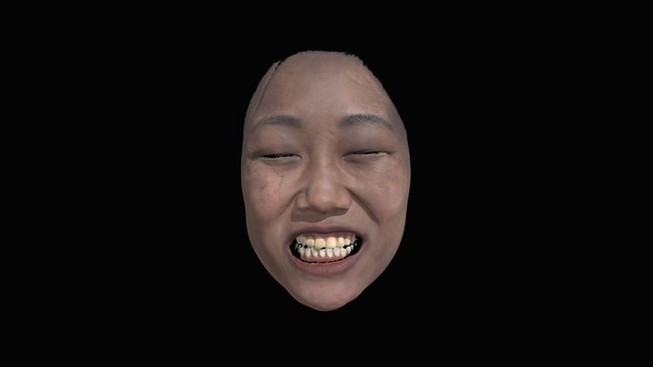 Facial Data – Free 3D Model STL