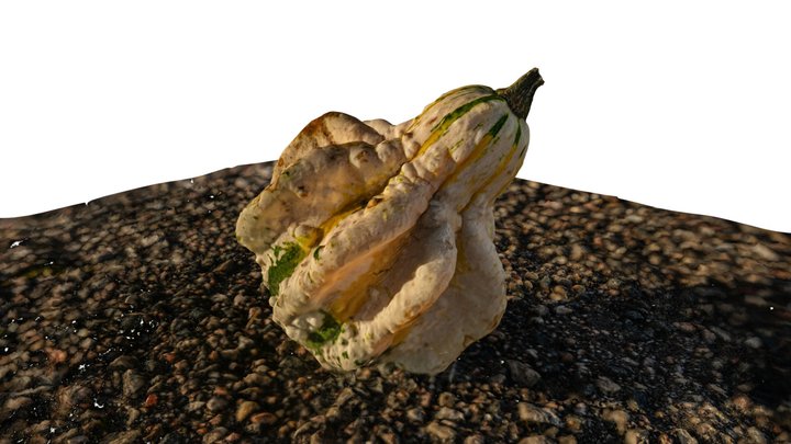 Pumpkin Scene 3D Model