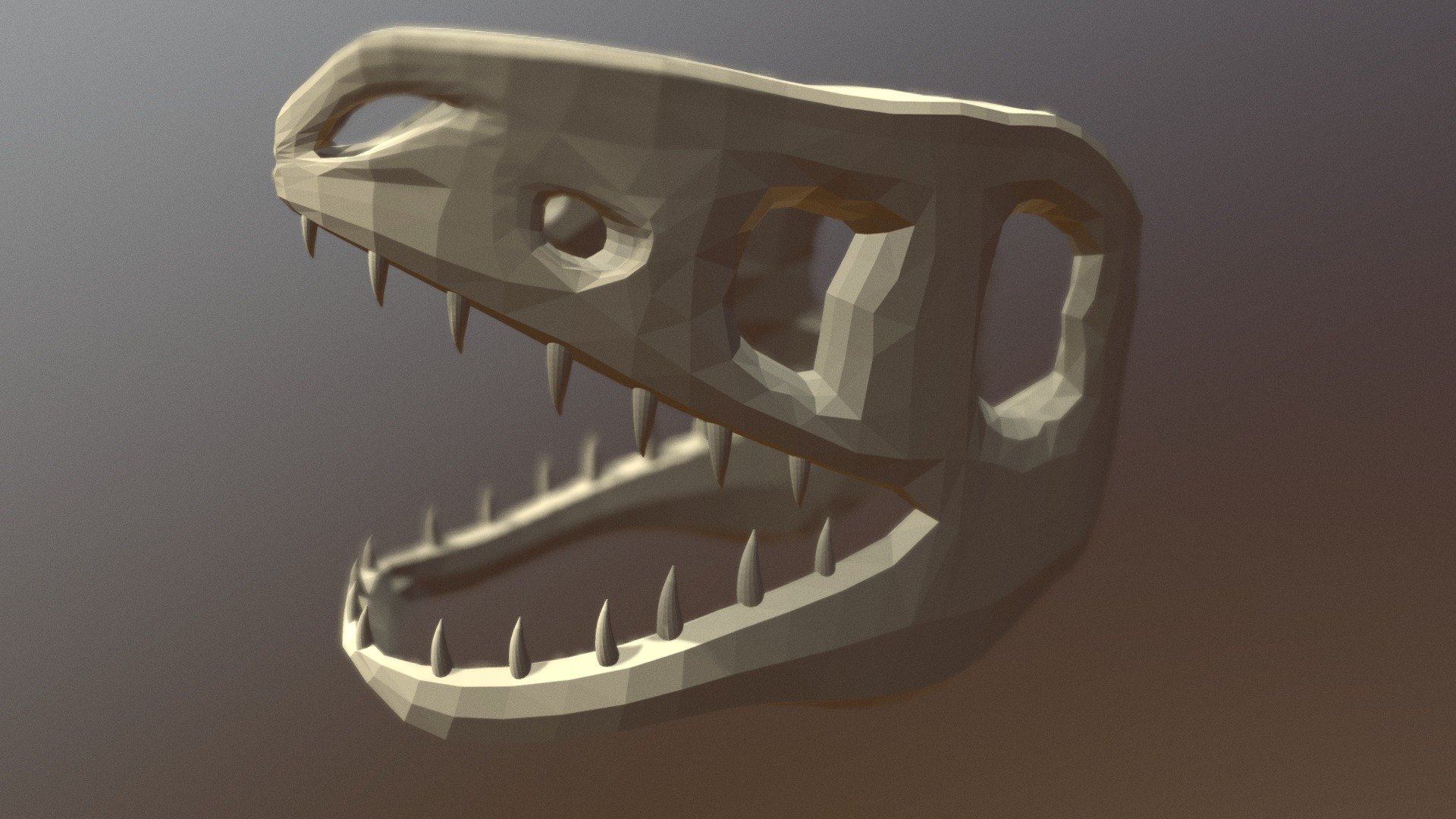 Skull