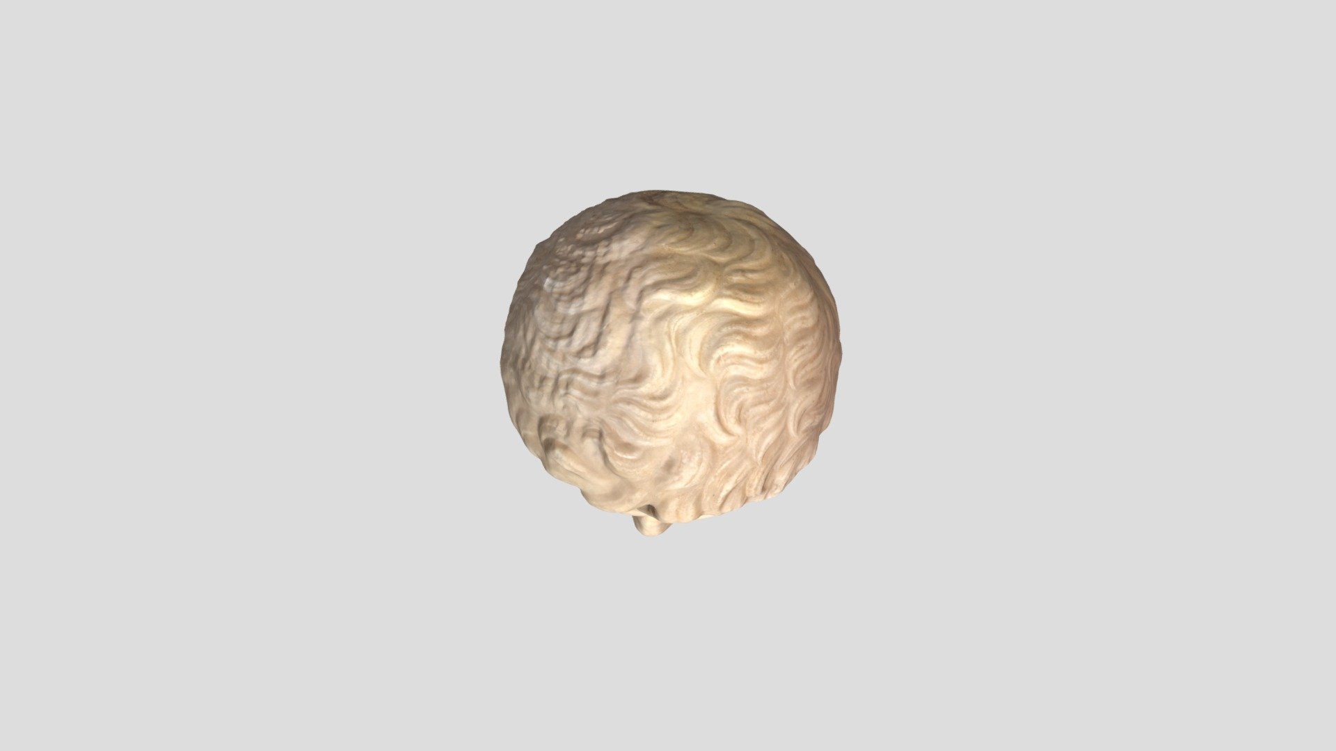 nov augustus