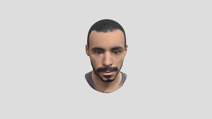 Head 3D Model