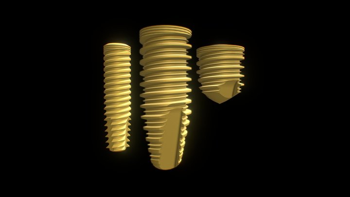 S.I.N. Implantes Unitite 3D Model