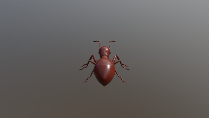 Fire Ant 3 3D Model