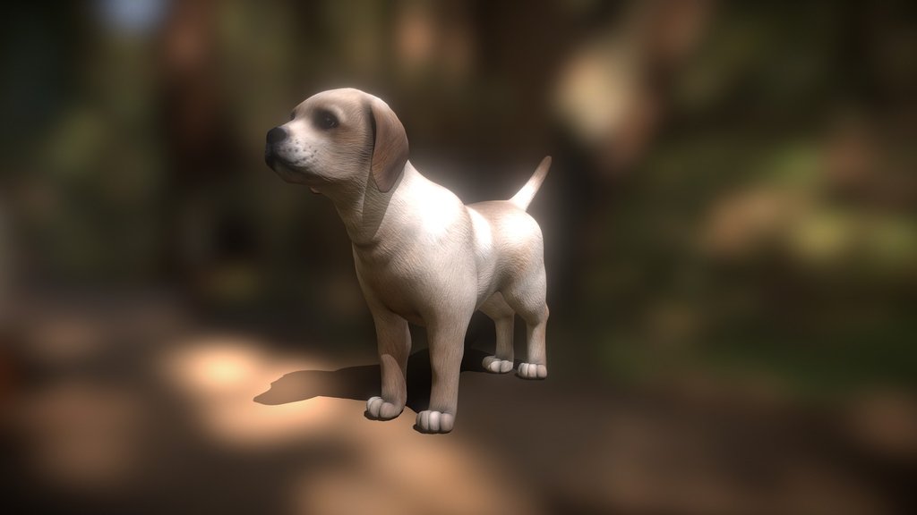 Dog