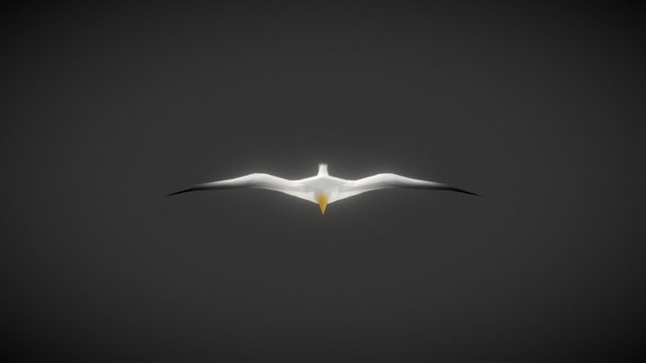 Lowpoly Seabird 3D Model