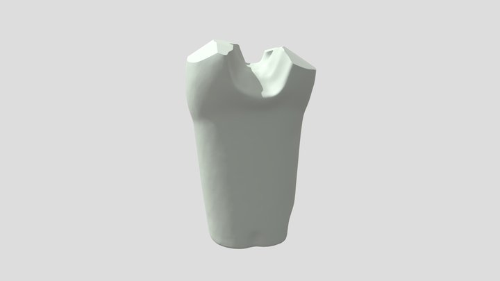 ToothModel 3D Model