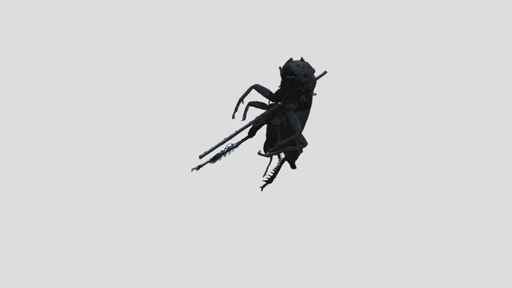 Cricket (Gryllidae) 3D Model