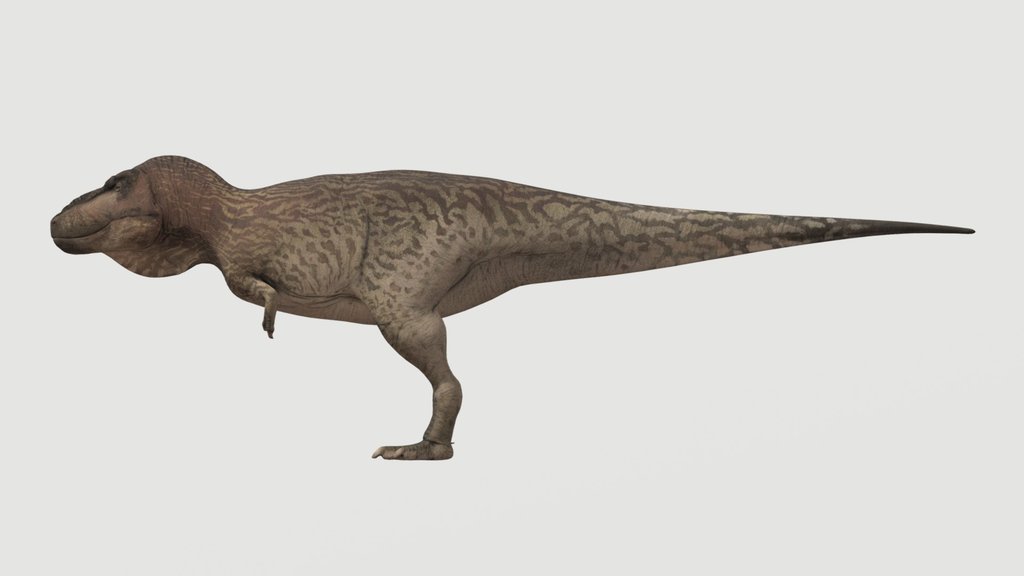 Accurate Tarbosaurus