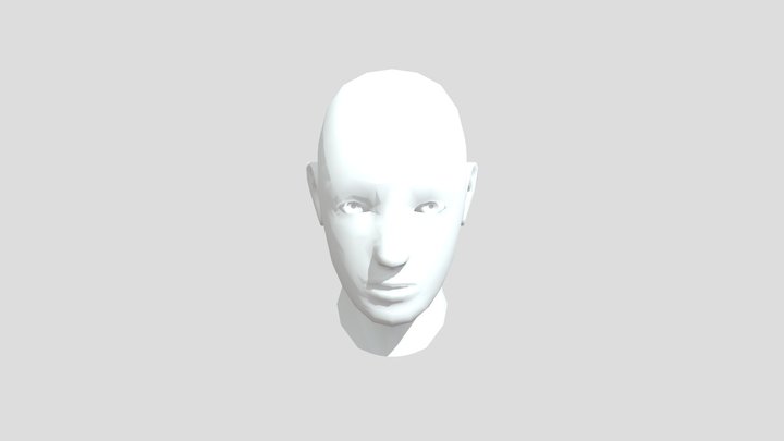 Face 2.0 3D Model