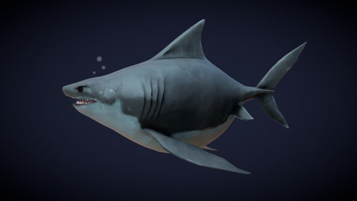 Chonky Shark 3D Model