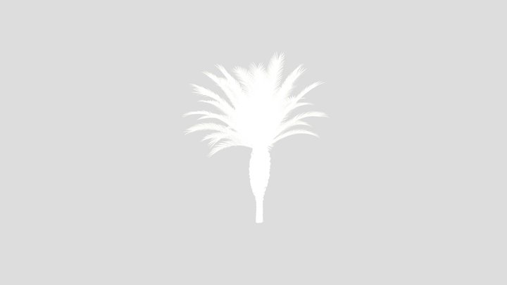 Palma Phoenix Canariensis Small – Gratis 3D-model STL
