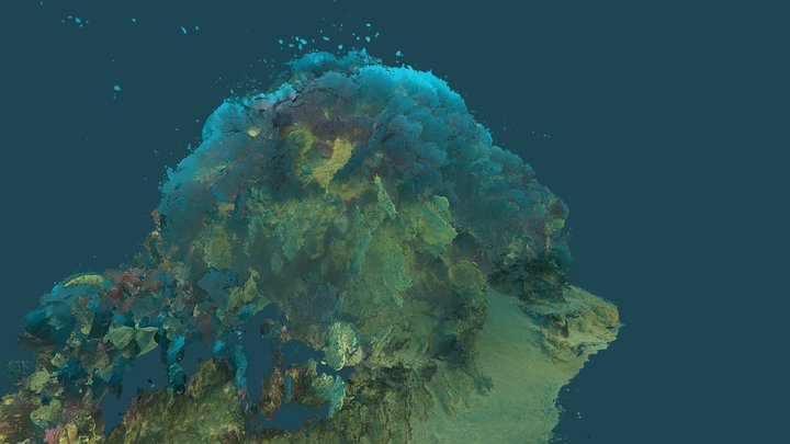 Project Punta Manara - Site Savagia 2 3D Model