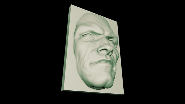 MALE FACE STUDY 3D Model