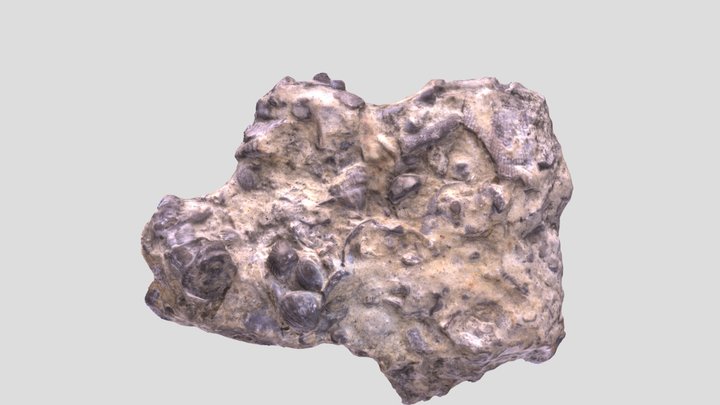 Real Sample 4 3D Model