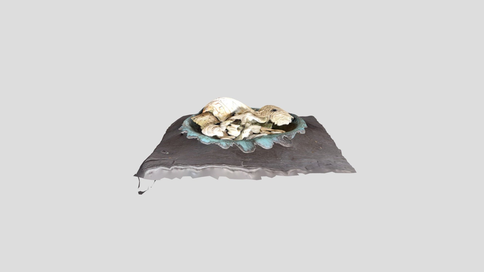 Shells