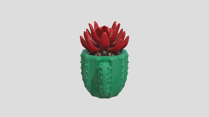 cactus planter 3d model 3D Model
