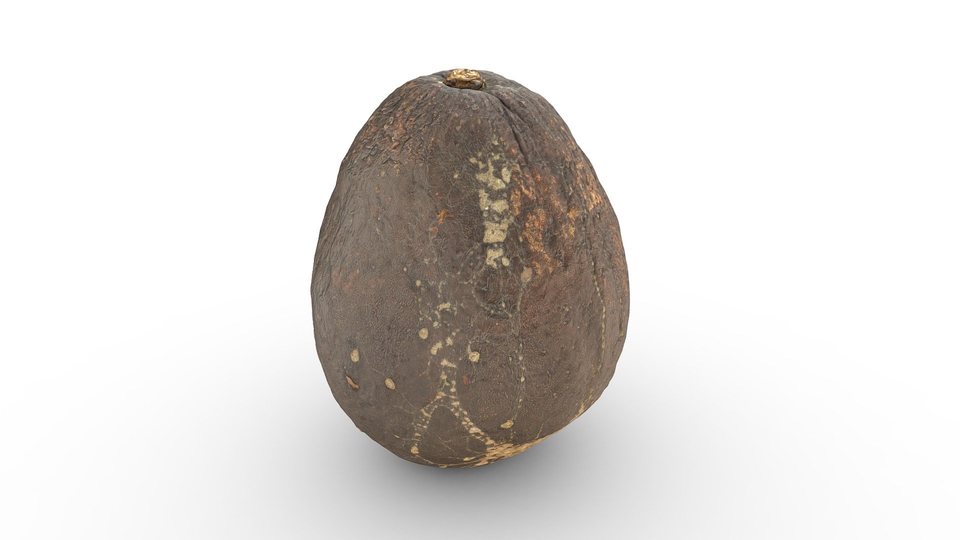 Overripe Avocado - Buy Royalty Free 3D model by Abby Crawford (@abby ...
