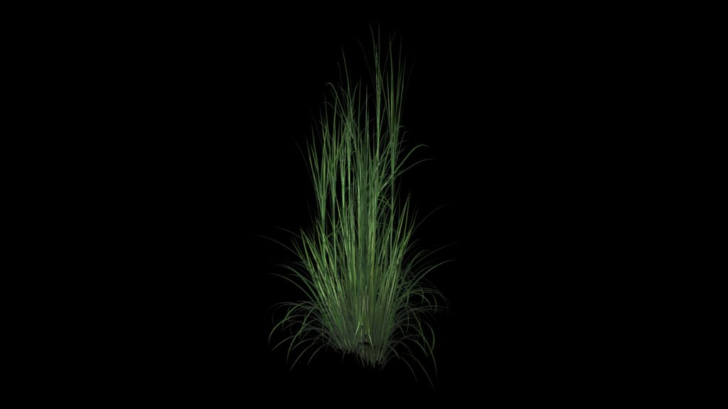 Grass free download