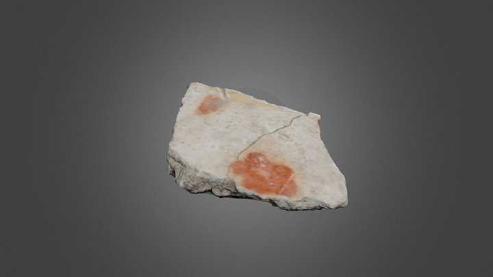 Plâtre 3D Model