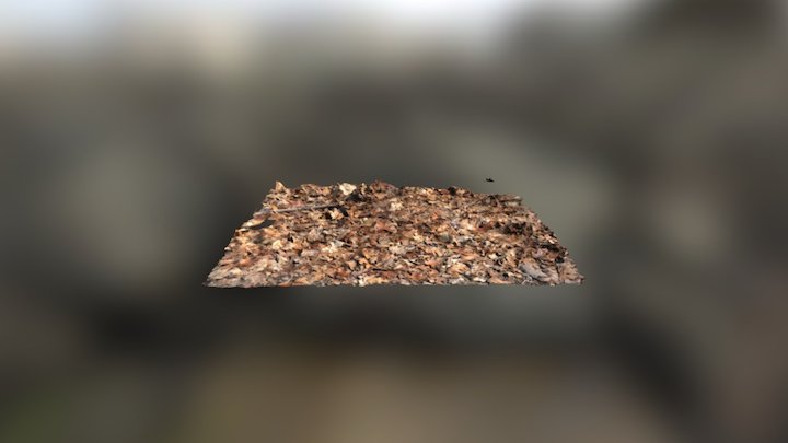 3D Scans - Leaves (2-22-17) 3D Model
