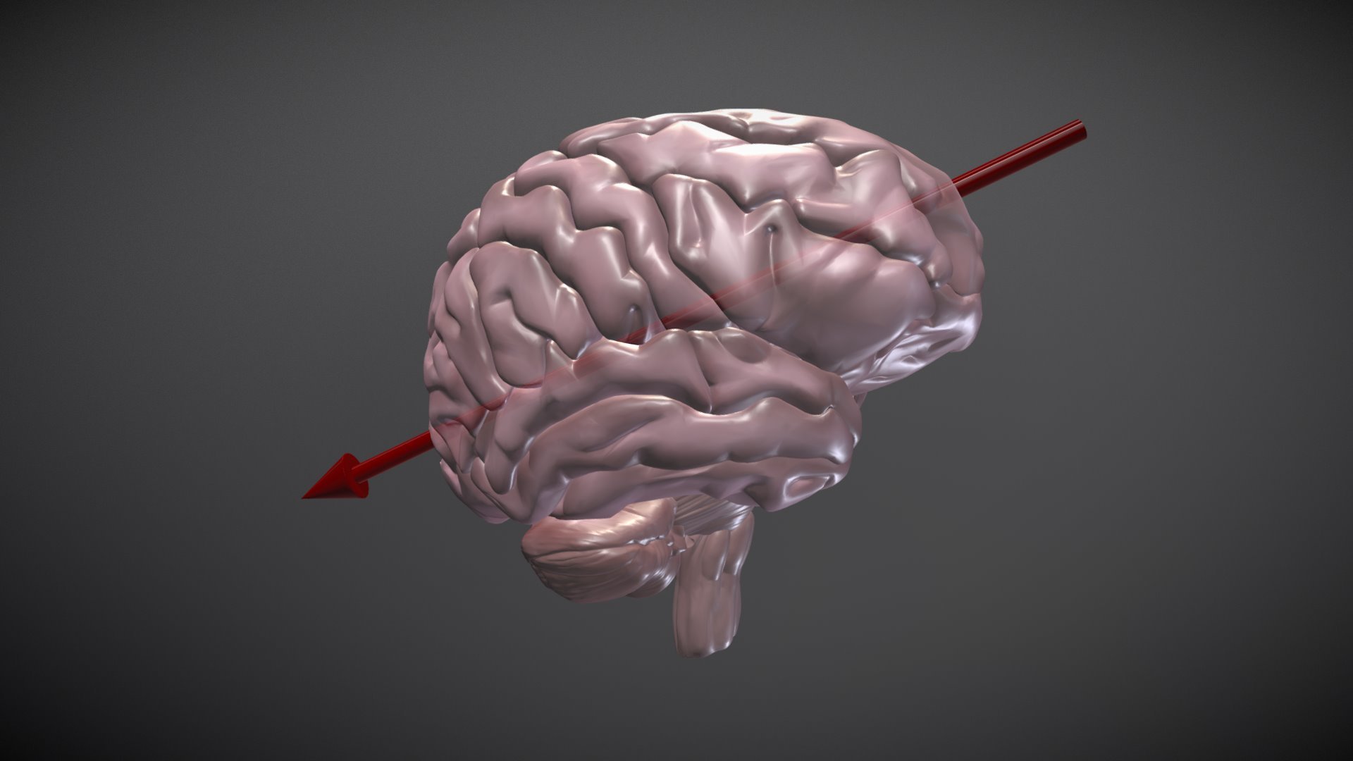 Bullet Trajectory through Brain - 3D model by Naomi Senior ...