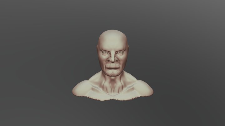 Facial Anatomy WIP Test 3D Model