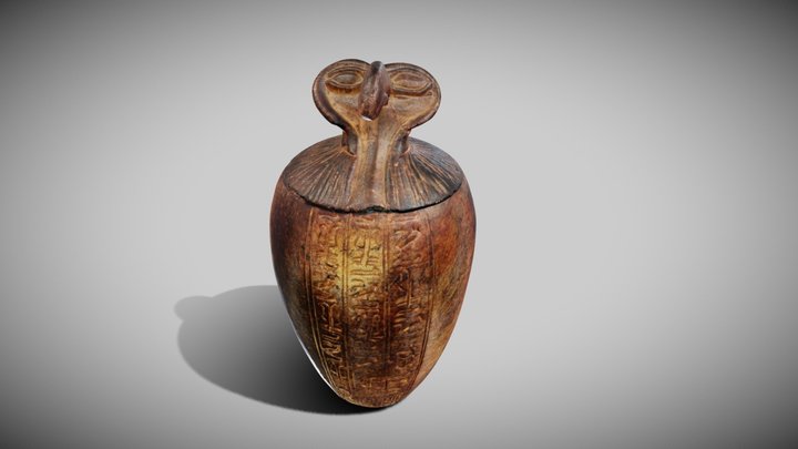 Vaso canopio 3D Model