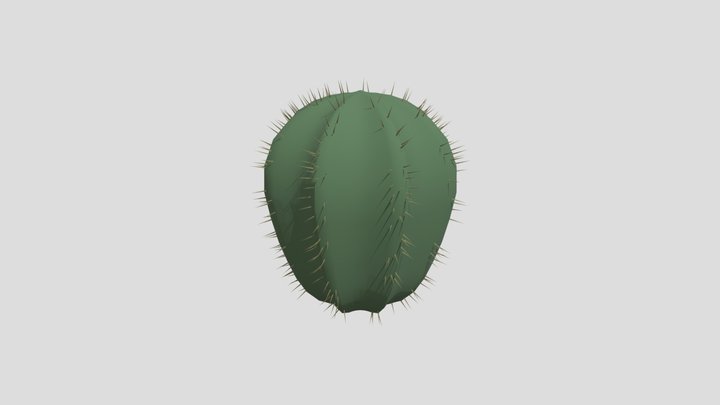 Saloon Cactus Variant 1 3D Model