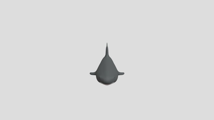 Shark 3D Model