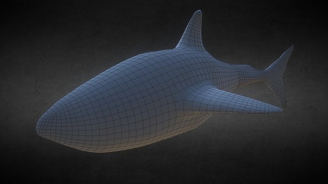 (Animation) Shark Swim Cycle – Modelo 3D gratuito STL