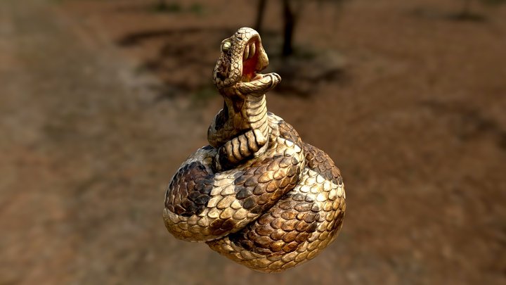 Snake - 3D Print Model by Explorer