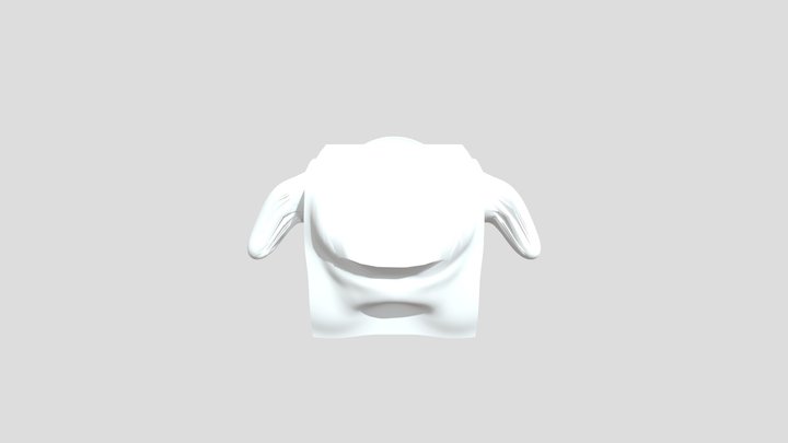 My model 3D Model