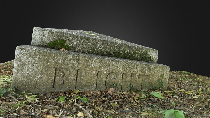 The Witch's Tomb 3D Model