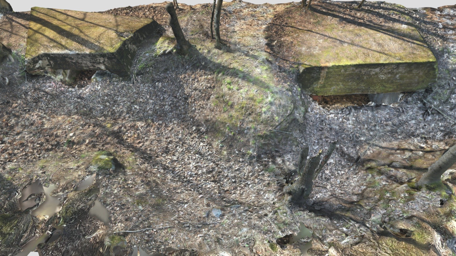 WW1 trench, Lintuvaara, Espoo, Finland