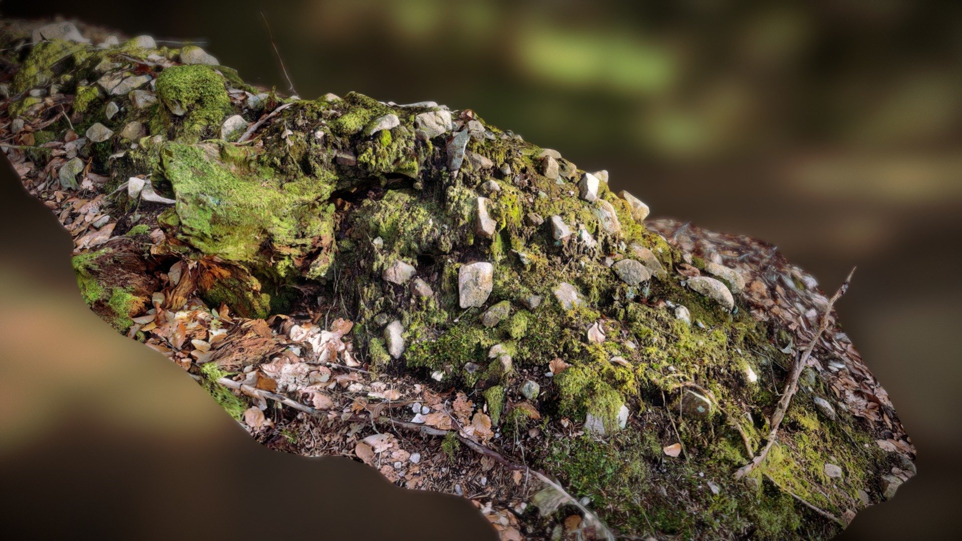 Moss and rocks